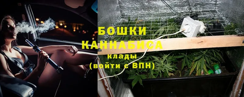 Шишки марихуана Ganja  Бахчисарай 